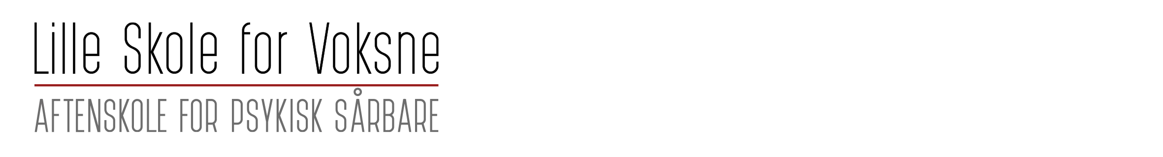 Lsfv Banner Logo