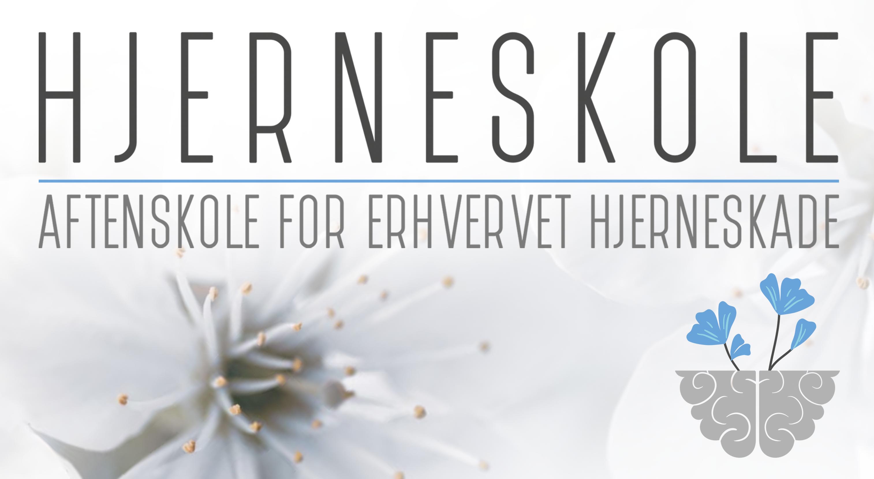 HJERNESKOLE Logo Billede
