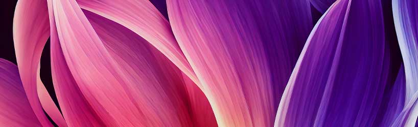 Header Aarskatalog26 27